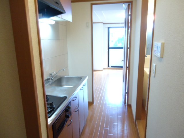 エル・アールＡＳＡＹＡ301号室 洗面