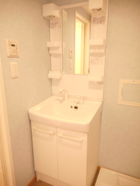 メゾン・ド・コフレ自由が丘Ⅰ0307号室 洗面