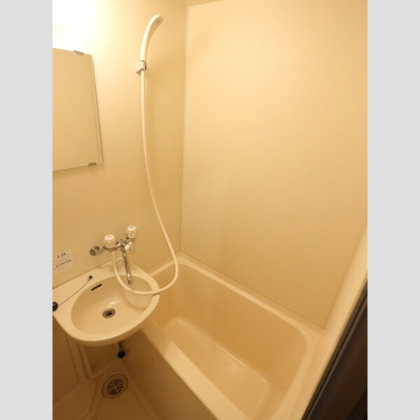 メールオフィスSKビル301号室 バス