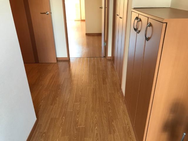 ステイブル湘南Ⅱ103号室 玄関