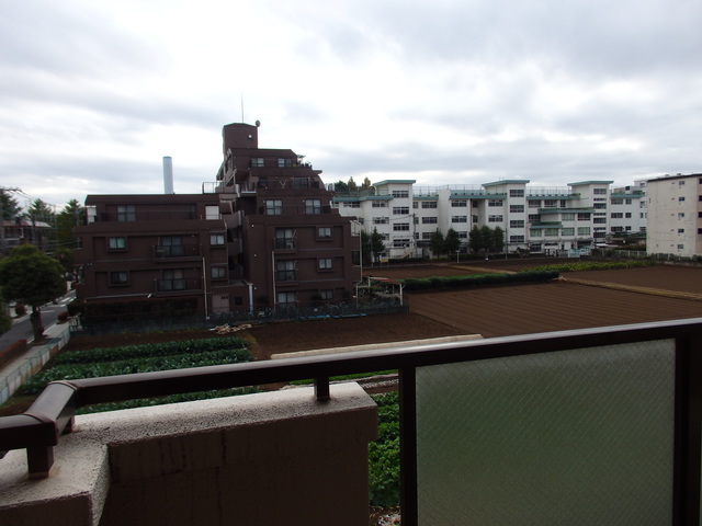 エスポワール三鷹0302号室 庭