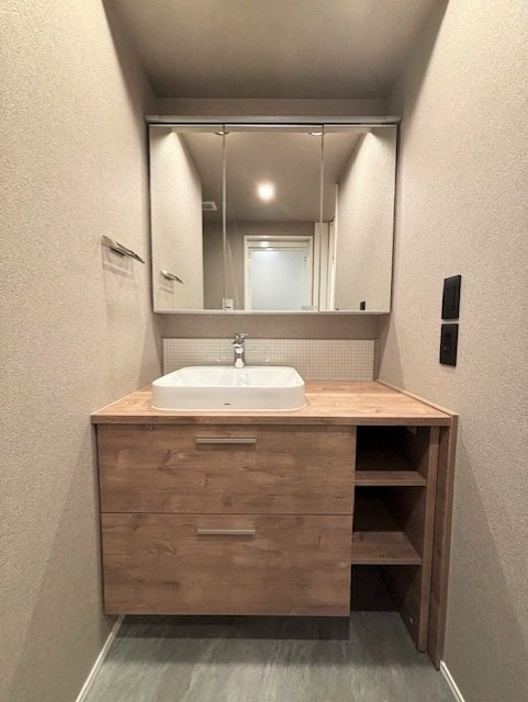 レジディア錦糸町Ⅱ10階 洗面