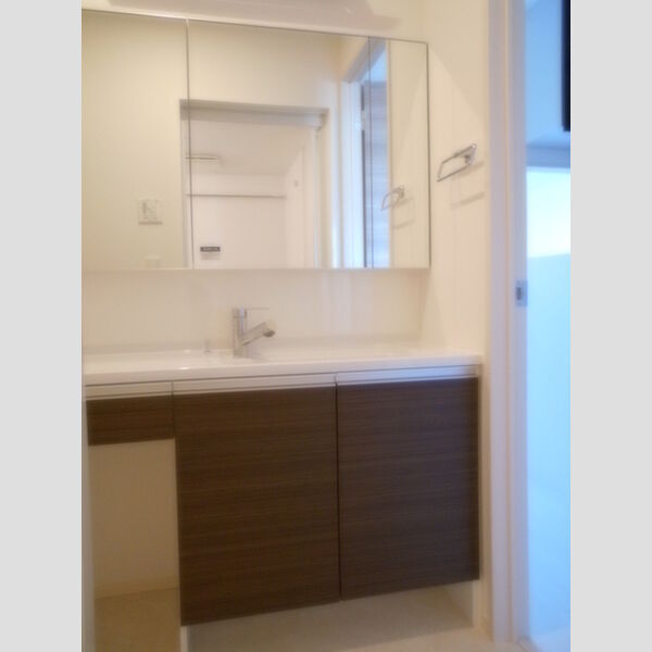 コゥジーコート303号室 洗面