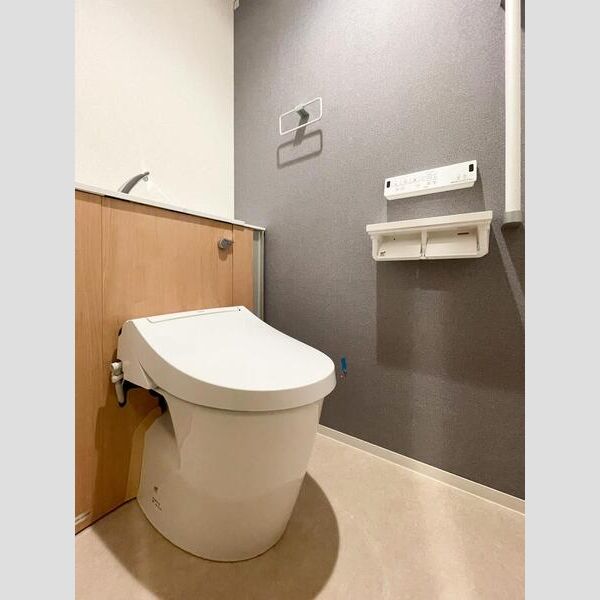 Ｓ－ＲＥＳＩＤＥＮＣＥ富士見ヶ丘ａｆｆｏｒｄ103号室 トイレ