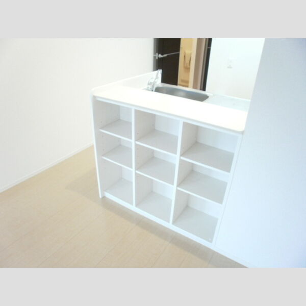 コートヴィレッジ かりん103号室 キッチンカウンター収納♪