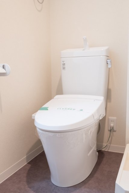 クレシア青戸1階 同建物別部屋の参考画像