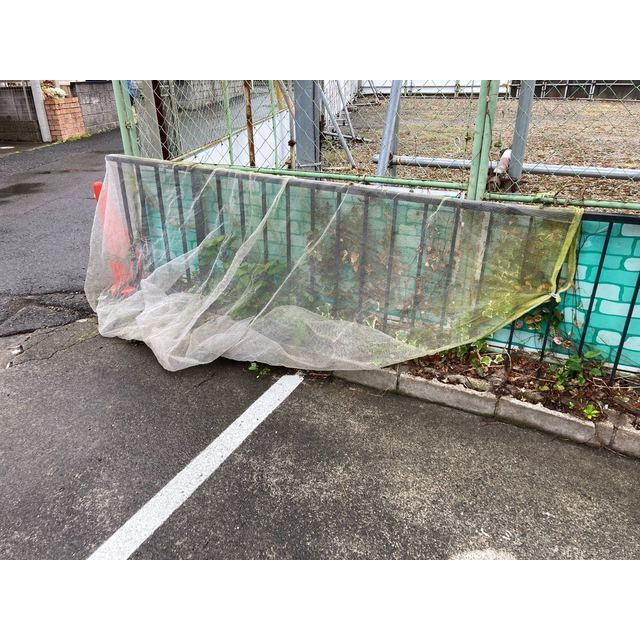 シティハイムフローラ 外観