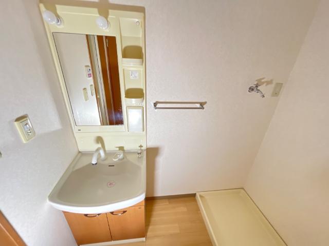 God　valley106号室 洗面