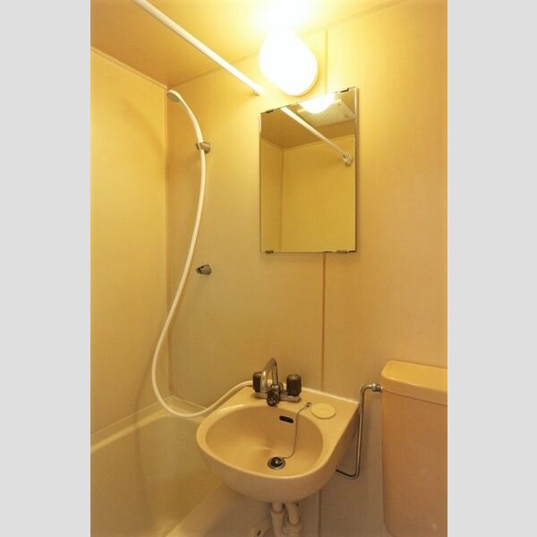 グリーンプラザ　A105号室 洗面台