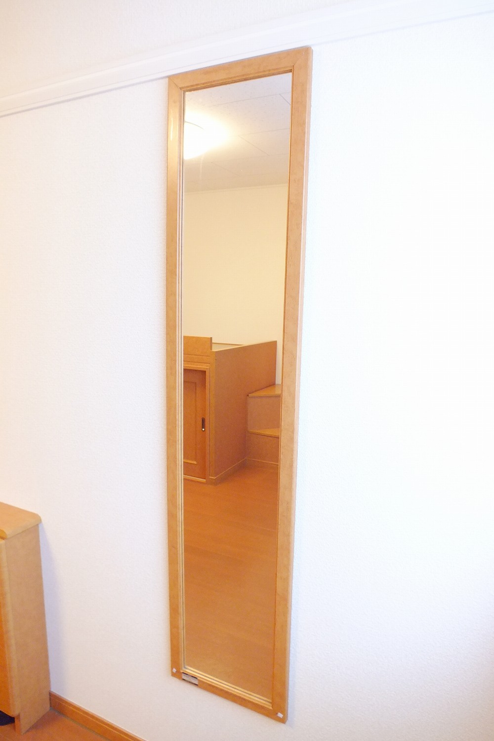 レオパレスグリーンハイツ　長塚111号室 鏡