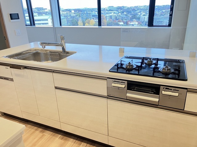 ザ・パークハウス鷺沼612号室 2025年11月撮影