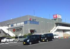 フォレスト ロピア湘南めぐみが丘店まで807ｍ