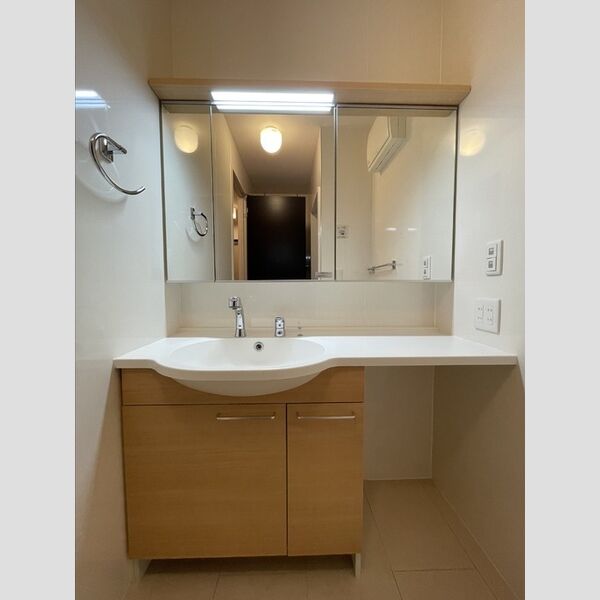 サザンクロス 洗面所