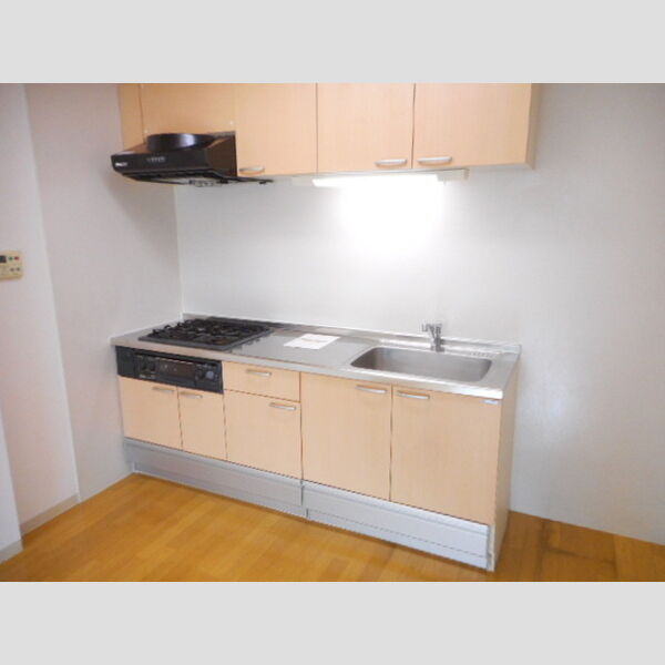 KAZU市川 101号キッチン