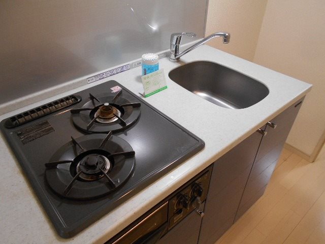 グランド・ガーラ横濱山下町9階 キッチン