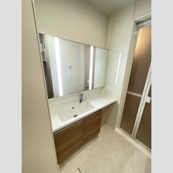 ラペーシュ湘南台103号室 洗面所