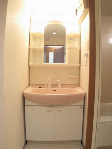 メゾン・デュ・リラ 洗面所