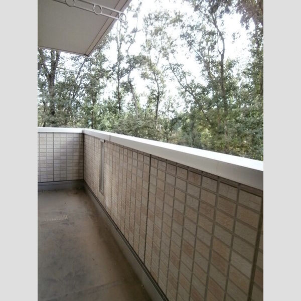 ラフォーレ上ノ台　B205号室 バルコニー