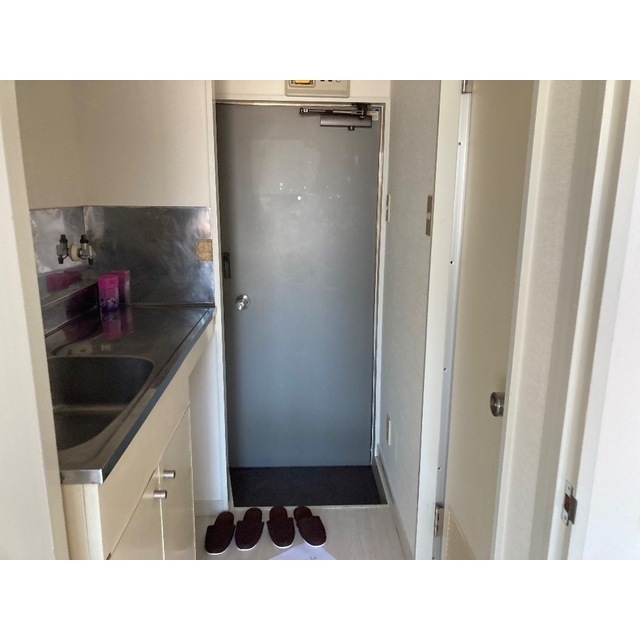 プラザ・ドゥ・シュバリエ201号室 玄関