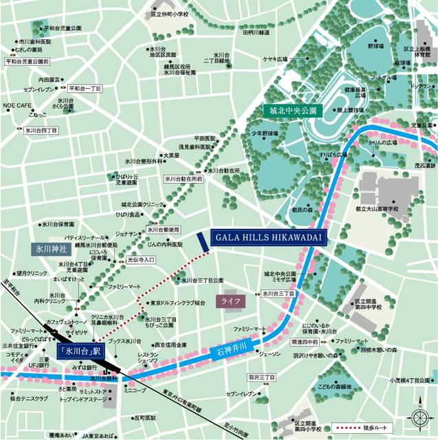 ガーラ・ヒルズ氷川台2階 null