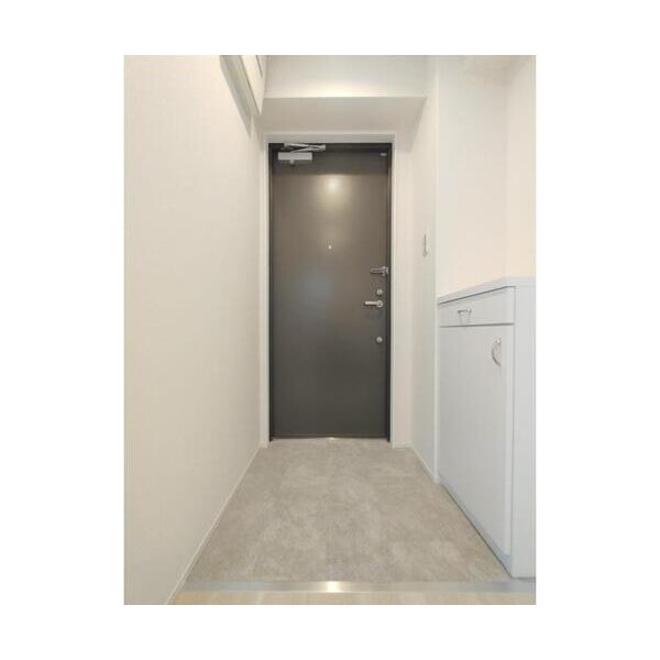 ブルーライトヨコハマ501号室 玄関