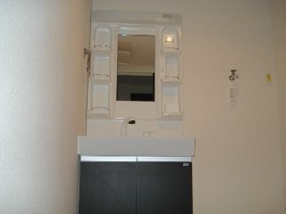 グリーンヴィレッジ102号室 洗髪洗面化粧台