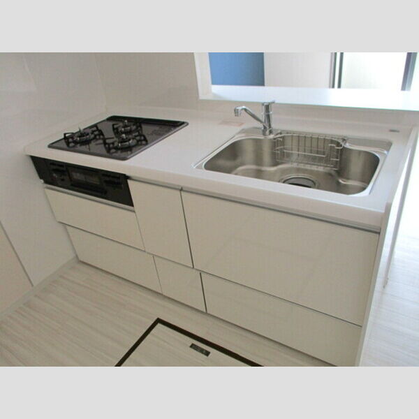 ドリームマウンテン　C101号室 システムキッチン