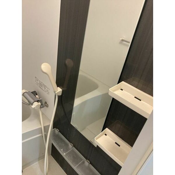 スパシエフェリーチェ川崎401号室 部屋その他