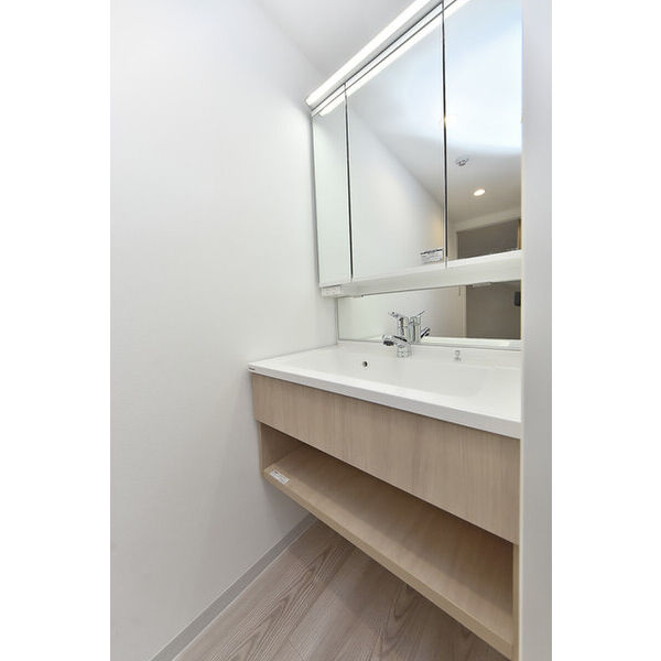 ウィロー板橋本町0104号室 洗面