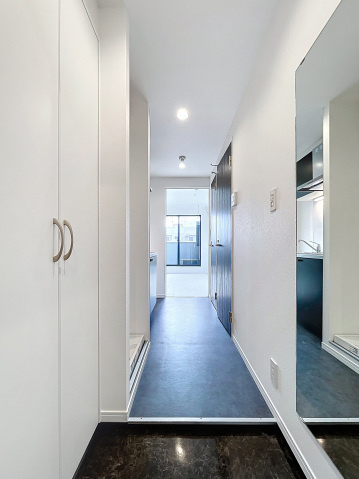 スカイルーチェ浦和401号室 玄関