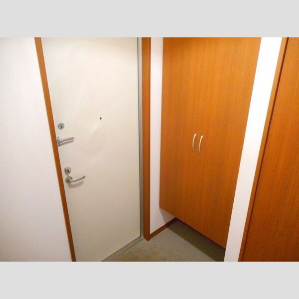 クリアコート303号室 玄関(トールタイプシューズボックス)