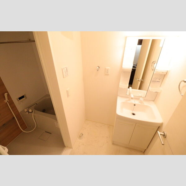 M・Y　メゾン　ド・レーヴ103号室 洗面室