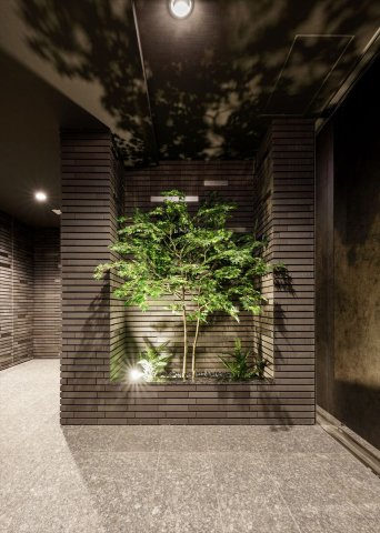 DIPS上板橋213号室 エントランス