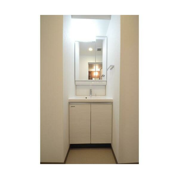 ブルーウッド金沢八景301号室 洗面