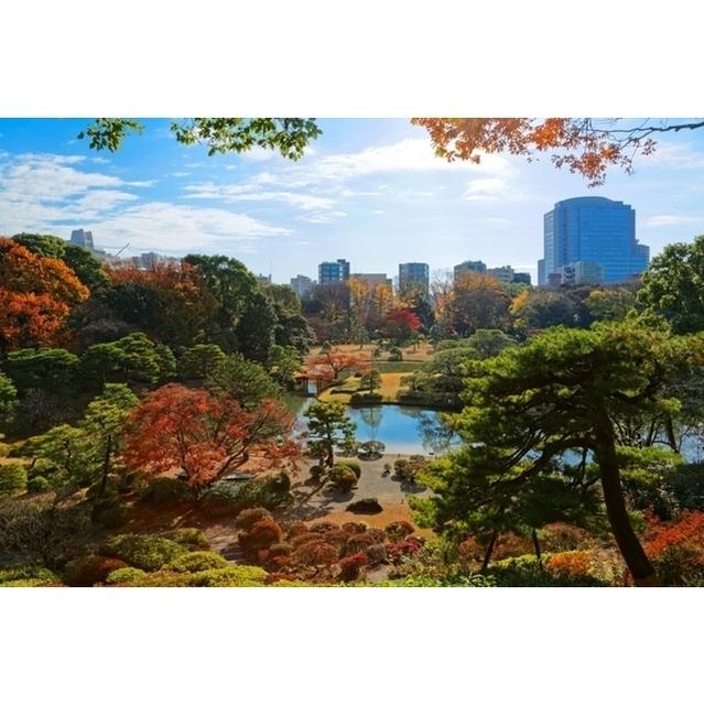 駒込テラス1階 周辺