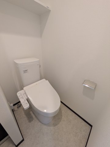 GENOVIA天王台0128号室 トイレ