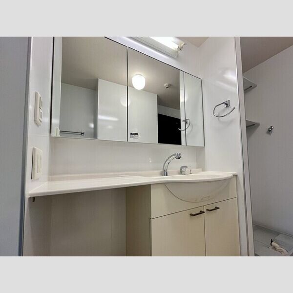 プレジャー202号室 洗面所