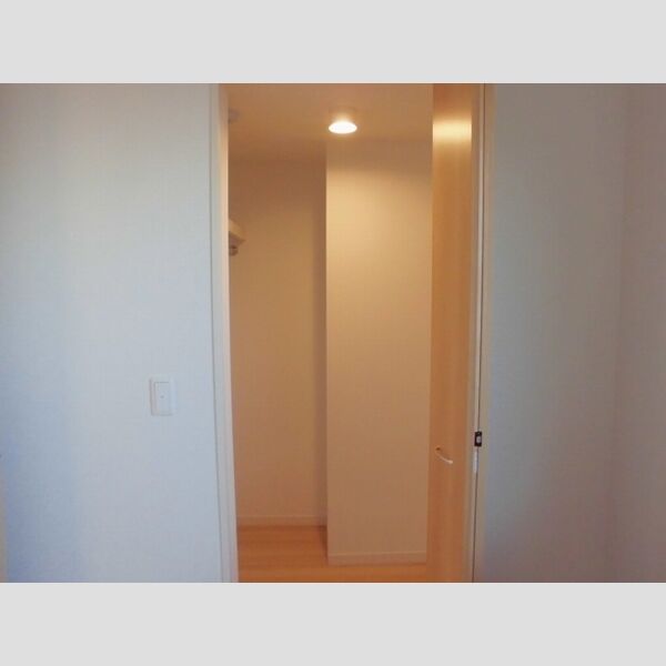 カーサドマーニ203号室 洋室6.1帖　ウォークインクローゼット