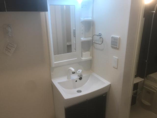 エルシオン富岡201号室 洗面