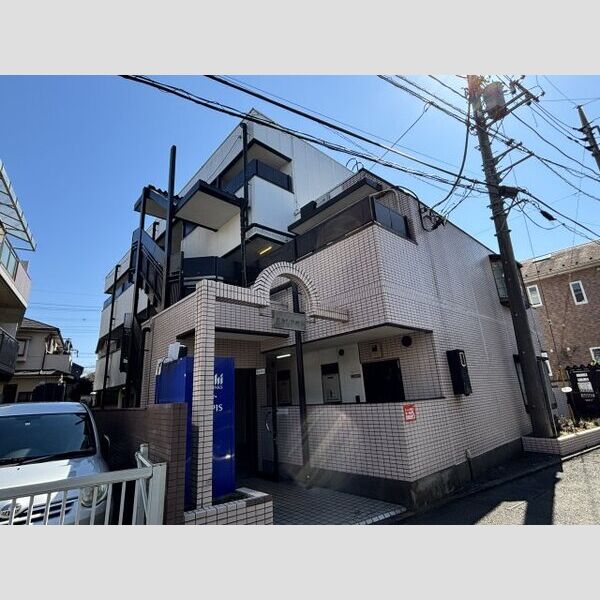 アカシアの木の外観画像