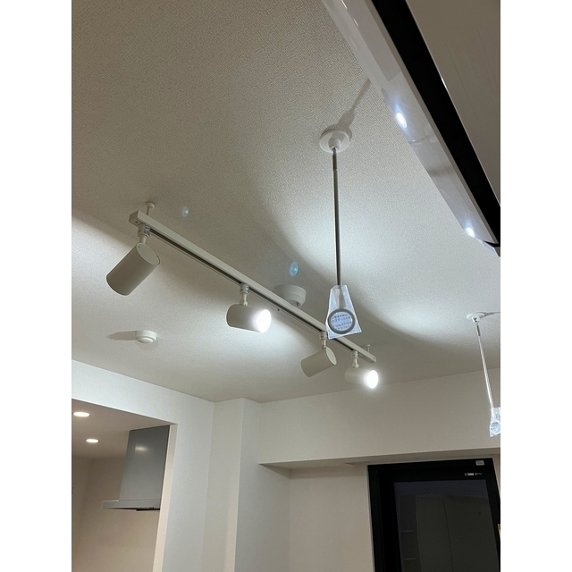 Ｌａ　Ｐｅｒｌａ　桜新町104号室 リビング照明　2026年1月撮影