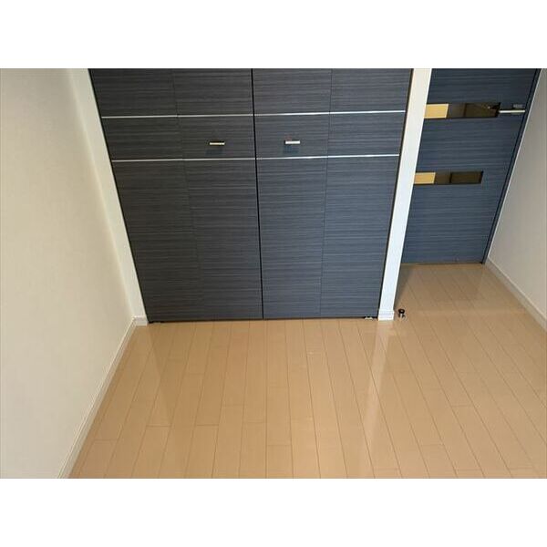 スパシエエクレクト502号室 部屋その他