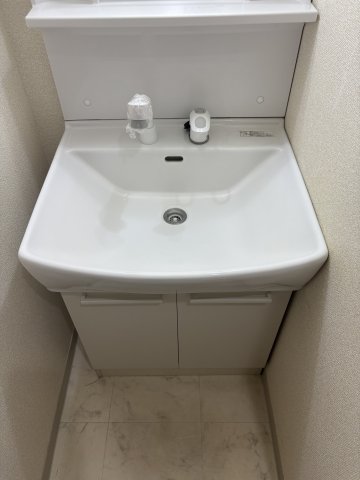 テルージュ菊名Ⅱ0101号室 洗面