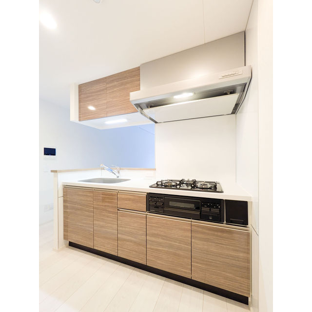 プライムガーデン若木0110号室 キッチン