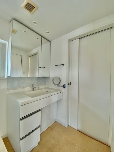 レジディア大森東9階 洗面