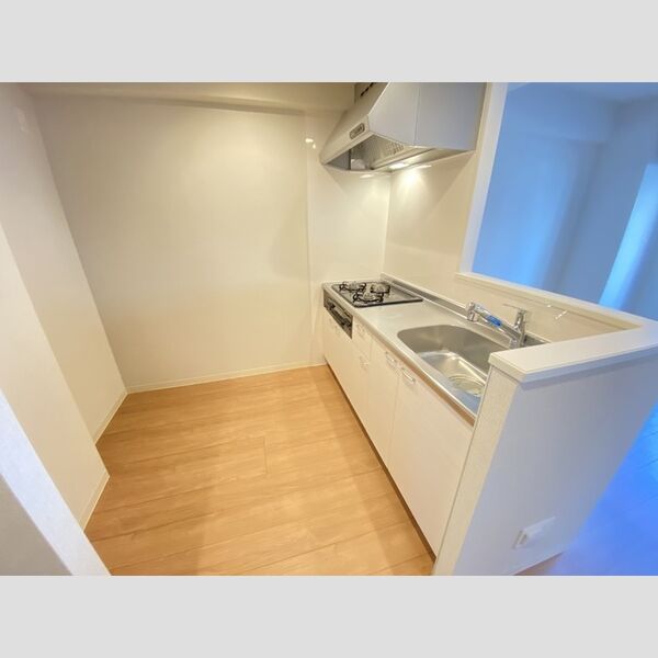 TRE LUCE横濱関内203号室 キッチン