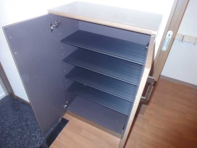 Ｃｈａｔｅａｕ　ｌｉｅｎ(シャトーリアン)202号室 靴箱