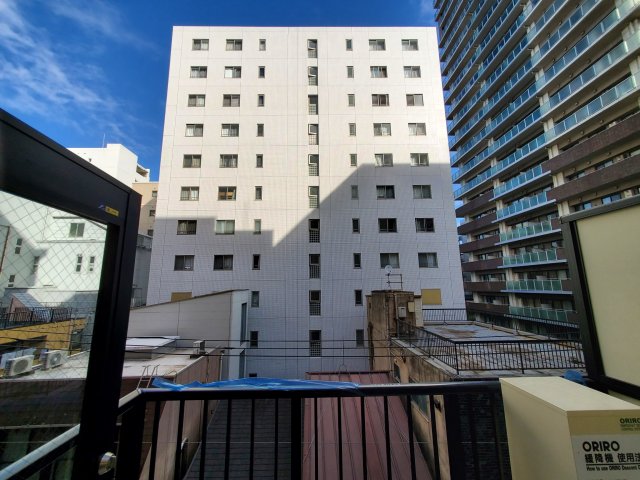 Ｍａｉｓｏｎ　ｄｅ　Ｇｉｎｚａ　Ｅａｓｔ502号室 展望