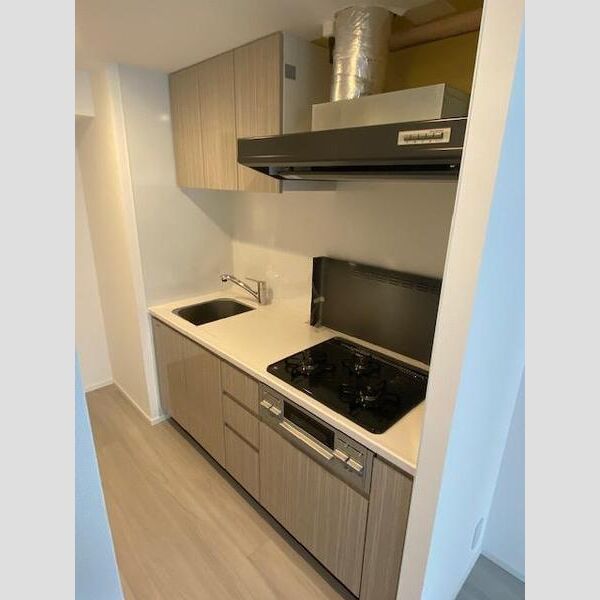 S-RESIDENCE両国avenue401号室 キッチン