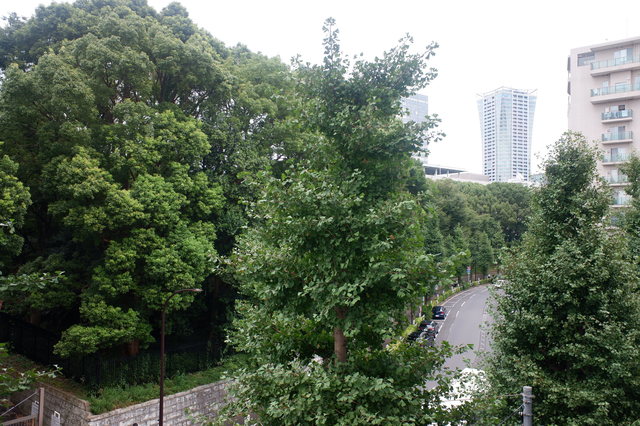 ラクール代々木公園0401号室 展望